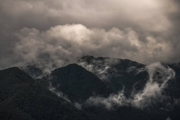 montagne noire mystérieuse avec le ciel nuageux dramatique - forest black forest sky night photos et images de collection