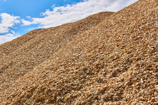 huge pile of wood chips against the sky - silviculture imagens e fotografias de stock