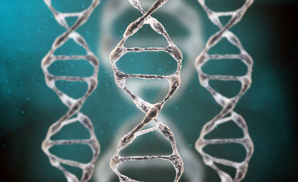 istock 3D render of a medical background with DNA strands in color background. DNA molecule structure. Helical structure of dna strand close-up. 1255865036