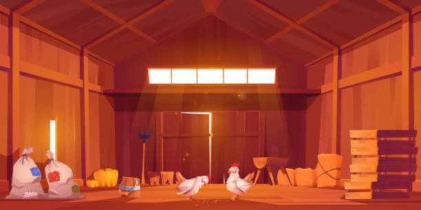 сарай интерьер с курицей, фермерский дом внутри зрения - farm gate rural scene non urban scene stock illustrations