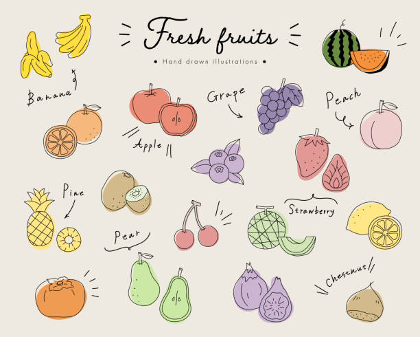 ilustraciones, imágenes clip art, dibujos animados e iconos de stock de conjunto de ilustraciones de frutas dibujadas a mano - fruta ilustraciones