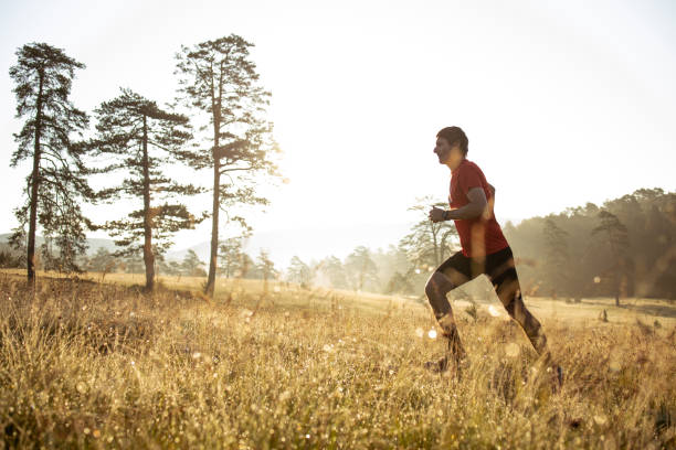 istock Morning jogging in a field 1255866581