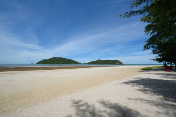 istock Scene of Leam Sala beach 1255867210