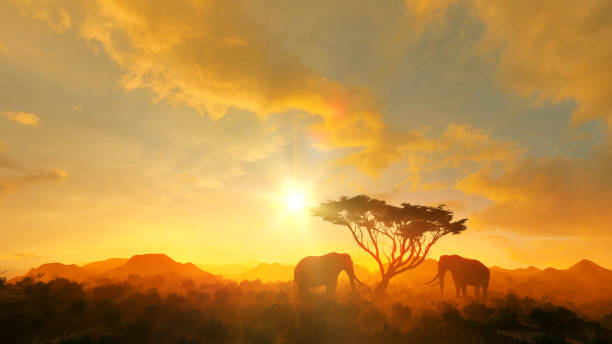 twee olifanten naast een boom - zuid afrika stockfoto's en -beelden