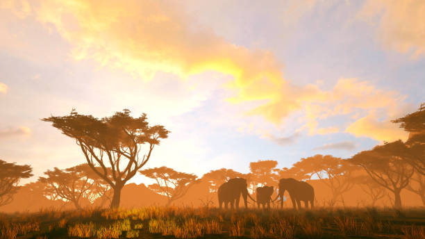 Group of elephants in Africa