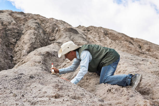 man archaeologist cleans the find with a brush in the desert man archaeologist or paleontologist cleans the find with a brush in the desert paleontologist stock pictures, royalty-free photos & images