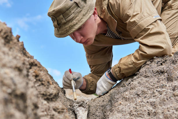 istock man archaeologist carefully cleans the find with a brush 1255869407
