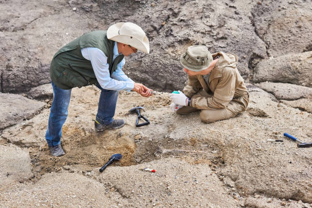 istock archaeologists or paleontologists in a field expedition discuss found ancient bones 1255869410
