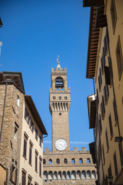 istock Old Palace in Florence 1255872295