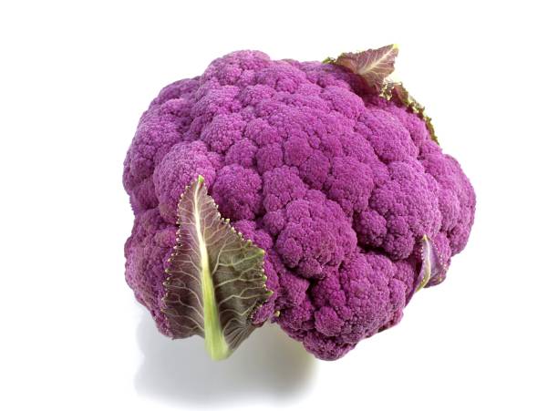 istock Purple Caulliflower, brassica oleracea against White Background 1255874044