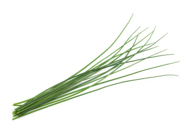 istock Chives, allium schoenoprasum against White Background 1255874047