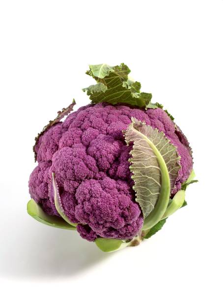 istock Purple Caulliflower, brassica oleracea against White Background 1255874053