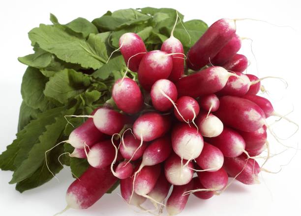 istock Pink Radish, raphanus sativus against White Background 1255874098