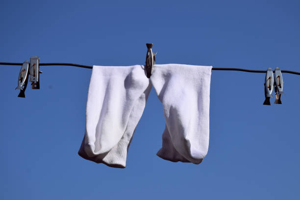 istock White socks hung on wire, blue sky And palm tree in the background 1255874705