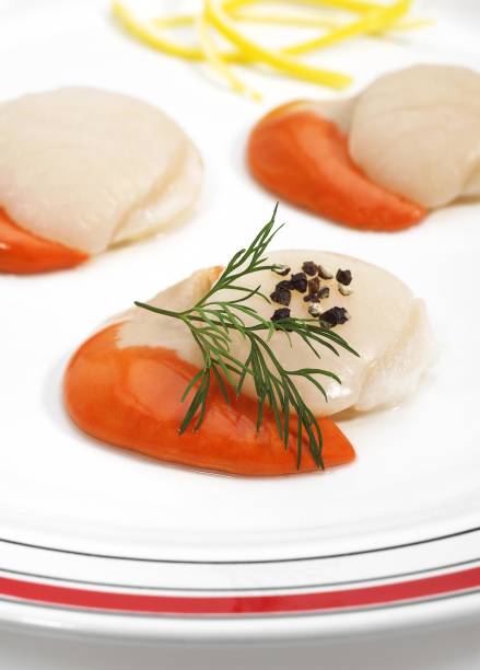istock Plate with Fresh Scallops and Dill, pecten maximus 1255874862