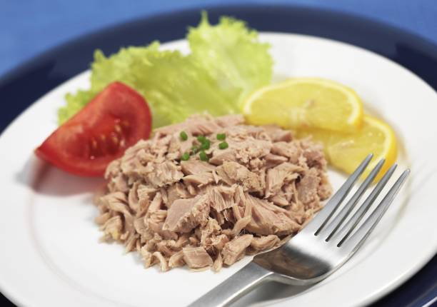 istock Salad Plate with Tuna Fish, Tomato and Lemon 1255877753