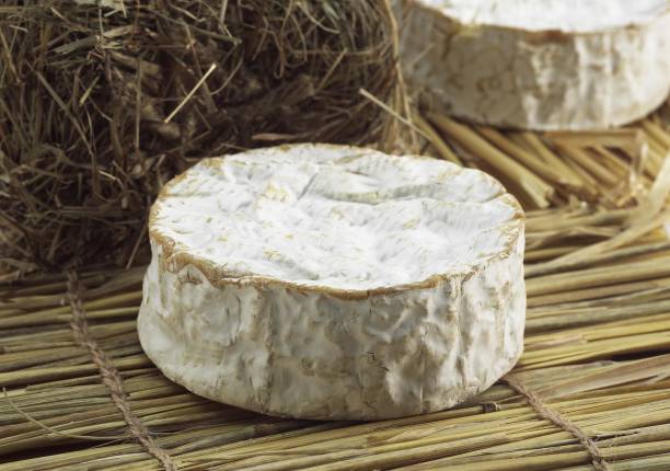 istock Camembert, French Cheese made in Normandy from Cow's Milk 1255880679
