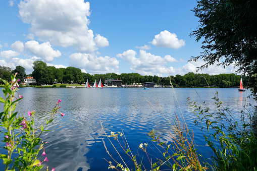 The Aasee in Münster in midsummer. Some sailboats cruising on the lake.