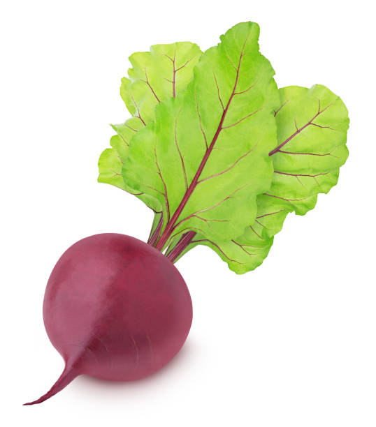 istock Fresh whole beet with leaves isolated on a white background. 1255887987