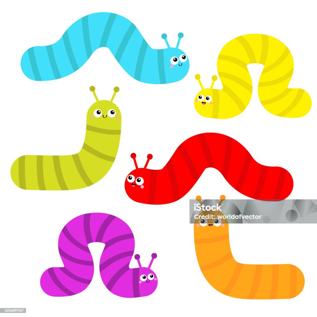 Caterpillar Set Insect Icon Cute Crawling Bug Cartoon Funny Kawaii Baby  Animal Character Smiling Face Colorful Bright Green Blue Yellow Red Orange  Purple Color Flat Design White Background Stock Illustration - Download