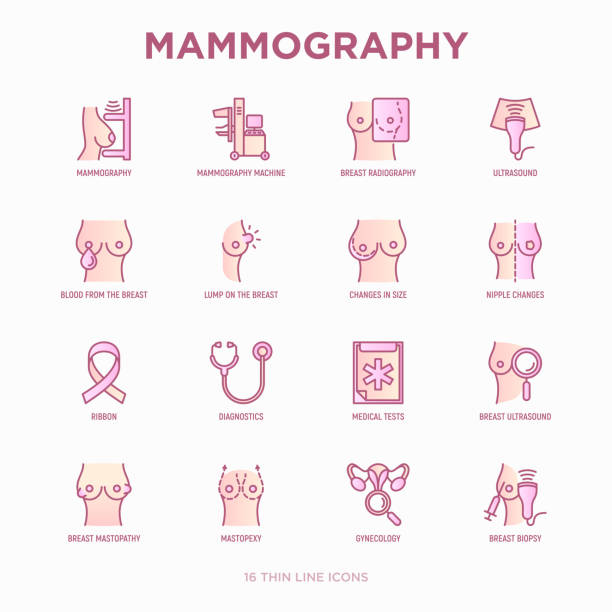 ilustrações de stock, clip art, desenhos animados e ícones de mammography thin line icons set: ultrasound, breast radiography, nipple changes, lump on the breast, biopsy; mastopexy, mastopathy. symptoms of breast cancer. vector illustration. - mammogram