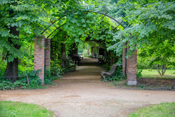 istock Path for pedestrians in the summer park 1255891498