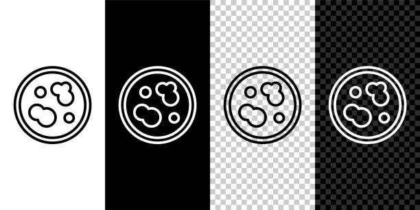 Set line Petri dish with bacteria icon isolated on black and white background. Vector Illustration Set line Petri dish with bacteria icon isolated on black and white background. Vector Illustration laboratory bacterium petri dish cell stock illustrations