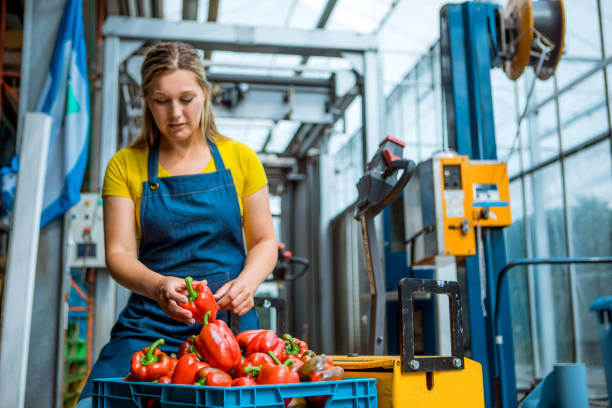 istock A female worker in a Paprika warehouse 1255893000