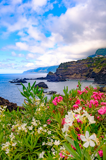 Colorful flowers in front of a view over Seixal coastal village on Madeira island during a beautiful summer day.