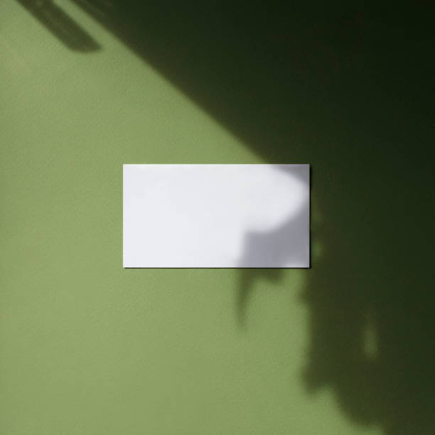 Empty white business card mock up with leaves shadows on green background. Marketing, branding identity. Flat lay, top view. Work, business concept. Modern home office desk workspace. Add your text. simulacro de tarjeta de visita blanca vacía con sombras de hojas sobre fondo verde. marketing, identidad de marca. plano, vista superior. trabajo, concepto de negocio. moderno espacio de trabajo de escritorio de oficina en casa. añade tu texto.