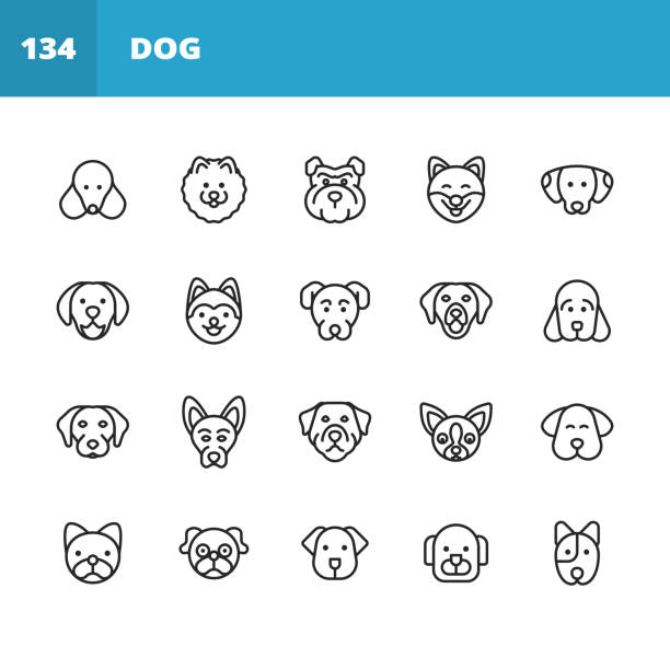 ilustrações de stock, clip art, desenhos animados e ícones de dog line icons. editable stroke. pixel perfect. for mobile and web. contains such icons as dog, puppy, pet, domestic animal, husky, labrador, pomeranian, pug, golden retriever, german shepherd, bulldog. - german cuisine illustrations