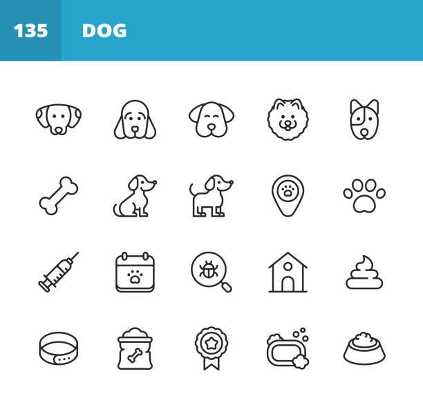 иконы линии собаки. редактируемый ход. пиксель совершенный. для мобильных устройств и интернета. содержит такие значки, как собака, щенок, п� - dog animal bone dog bone dog food stock illustrations