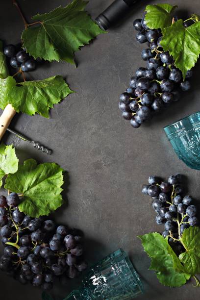 istock Bunch of Dark Blue Grapes with leaves 1255897259