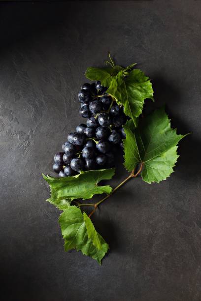 istock Bunch of Dark Blue Grapes with leaves 1255897346