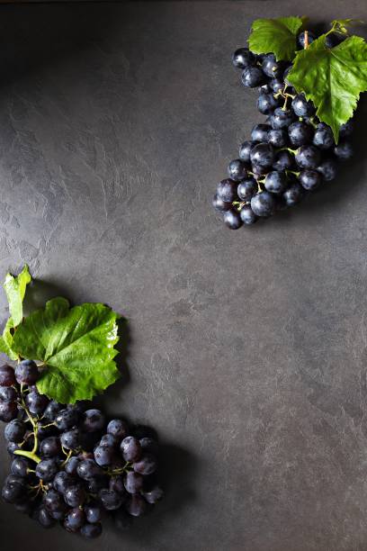 istock Bunch of Dark Blue Grapes with leaves 1255897359
