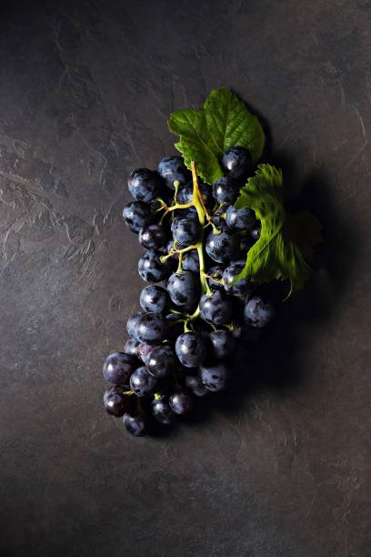 istock Bunch of Dark Blue Grapes with leaves 1255897486
