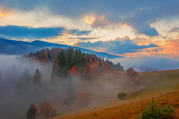 istock Morning sun illuminating rolling hills with light rays 1255898725