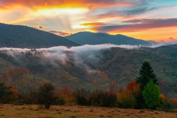 istock Beautiful sunrise in mountain forest with magical sky on background 1255898815