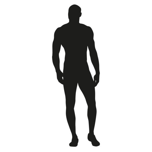 Muscular man stands, rippling athlete, sprinter, hero. Vector silhouette Muscular man stands, rippling athlete, sprinter, hero. Vector silhouette gym silhouettes stock illustrations