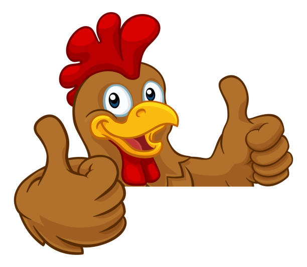 Chicken Cartoon Rooster Cockerel Character A chicken cartoon rooster cockerel character mascot giving a thumbs up. chicken thumbs up design stock illustrations
