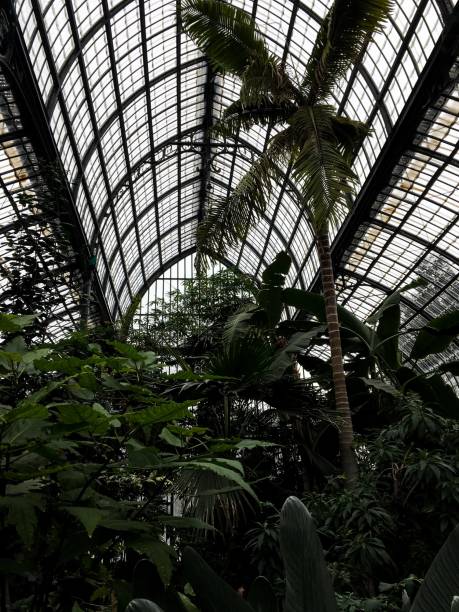 istock Exotic botanical garden of Lyon. 1255903459