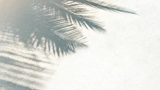 Palm leaf shadow on a white sand on tropical beach. Trendy holiday summer concept. Selective focus.