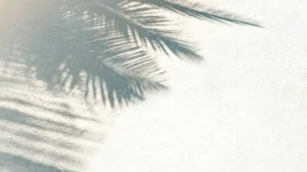 Photo of Palm leaf shadow on a white sand on tropical beach.