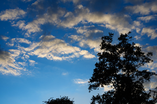 clouds at sunset with silhouetted trees