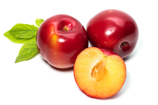 istock Plum fruit with plum leaf isolated on a white background 1255908698