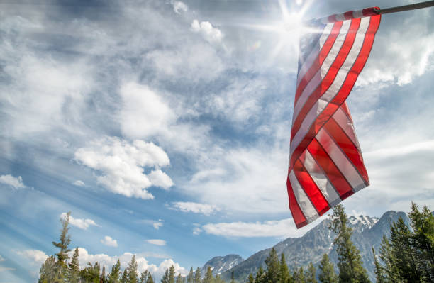 American flag against the sky in a US national park American flag against the sky in a US national park. clear sky usa tree day stock pictures, royalty-free photos & images
