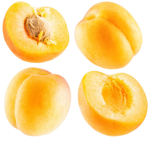 istock collection of apricots isolated on a white background 1255910759