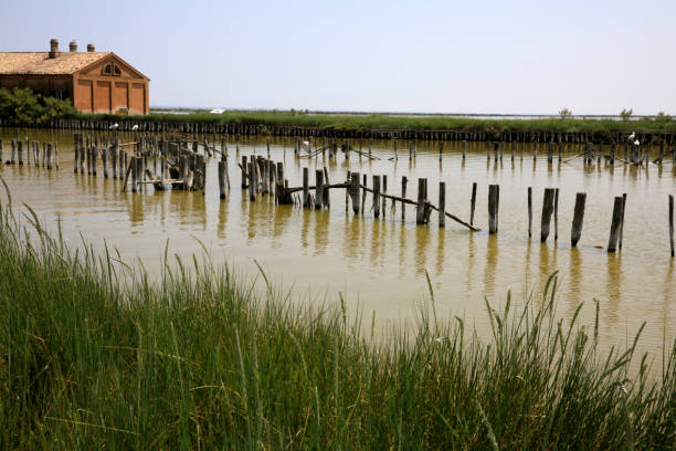 po floden, delta regional park, emilia romagna, italien - comacchio bildbanksfoton och bilder