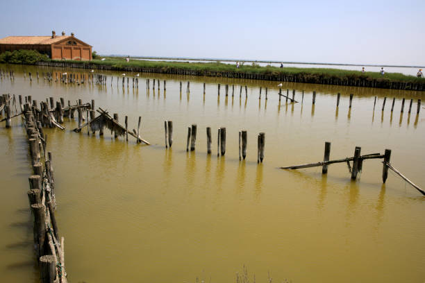 istock Po river, Delta Regional Park, Emilia Romagna, Italy 1255913320