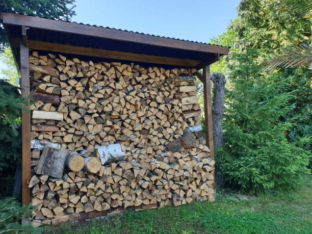 istock Firewood stacked for winter 1255915985